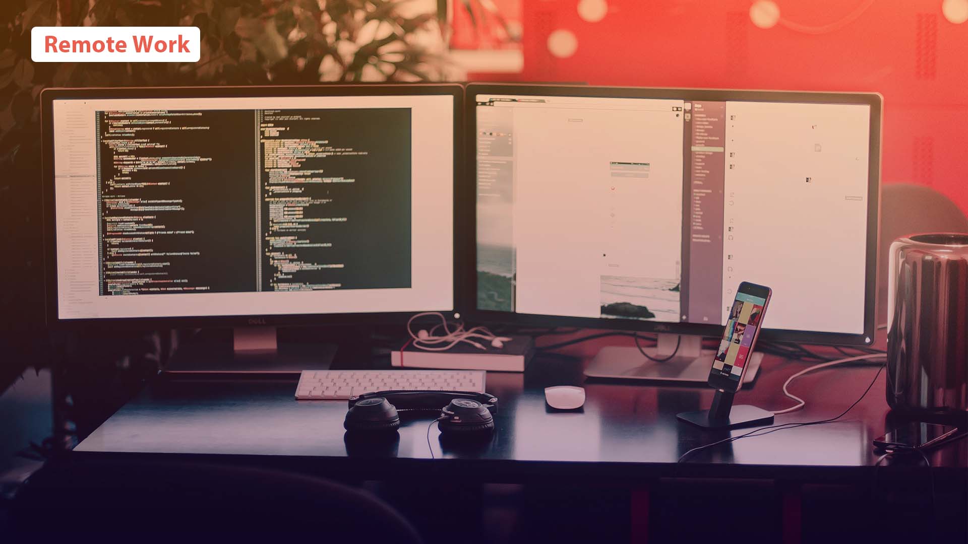 My Journey from Remote WordPress Support Engineer to Technical Support Lead.